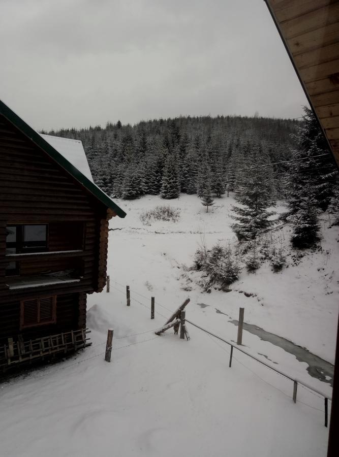Wooddream Hotel Volovets Buitenkant foto